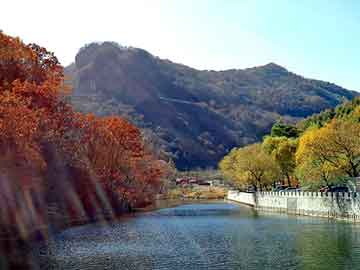 澳门期期准免费精准，燃油催化器